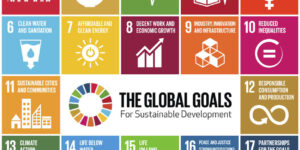 17 Sustainable Development Goals SDGs